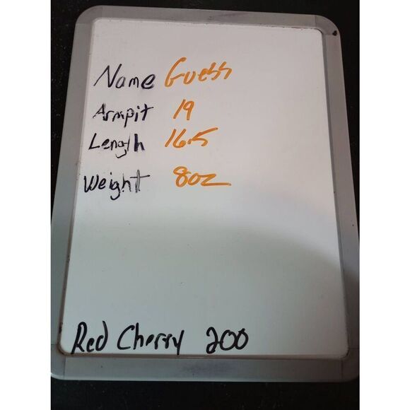 Guess Shirt‎ Ladies Extra Small Crop Top Rainbow Short Sleeve - Picture 7 of 7